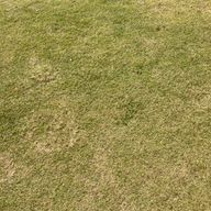 ぶぃぶぃさんのアイコン画像