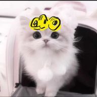 れんちょ@コメ浮上さんのアイコン画像