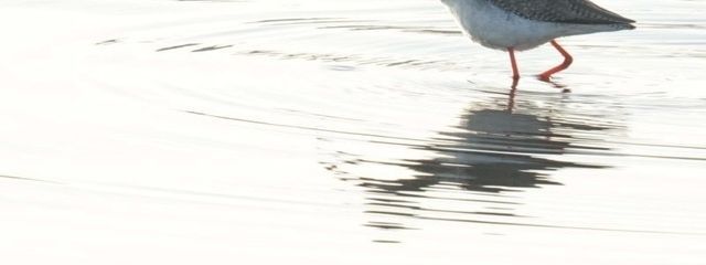 itumiさんの壁紙画像