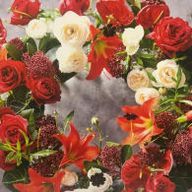 リンさんのアイコン画像