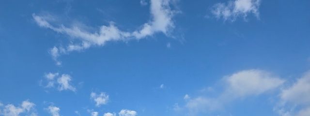 haru.さんの壁紙画像