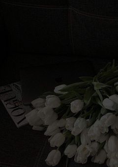 私の婚約者は愛し方を知らない人だったことについて