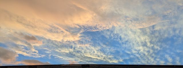 投稿が🐢より遅いMiwa (小説書くのが面倒い人)さんの壁紙画像