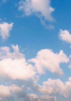 心の叫び