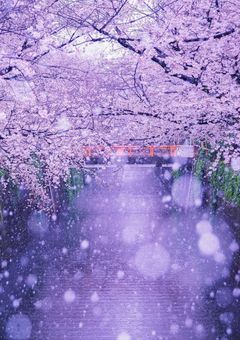 一番の願い