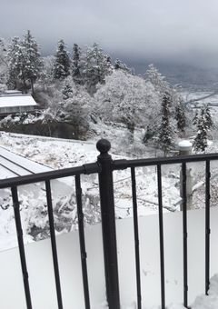 やつがれくんの婚約者【芥川龍之介】【完結】