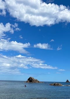 獣人文スト男子の日常譚 -推しが獣人ショタになって家に居た件-