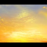 saikaさんのアイコン画像