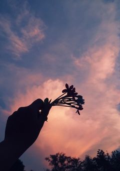 じゅじゅ　専用部屋