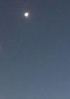 戦火の果てに咲く友情