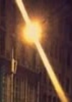 現世浄土桜花抄