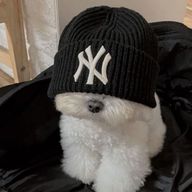 JAMINIKOさんのアイコン画像