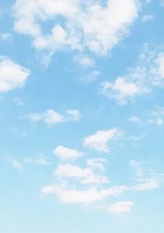 stxlの瑞さん姉がいるようで