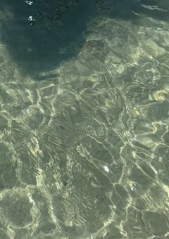 あざとい顔してはにゃはにゃんっ!