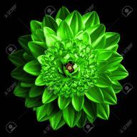 夏潤さんのアイコン画像