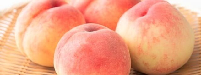 現実逃避さんの壁紙画像