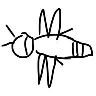 ジャスさんのアイコン画像