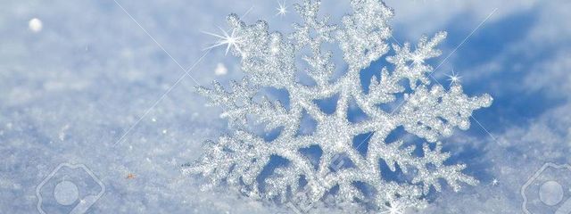 lavenderさんの壁紙画像