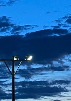 死にたい僕は今日も息をして。【太宰治】