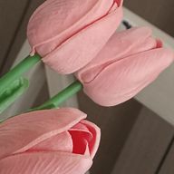 ＤＤさんのアイコン画像