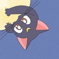 リツさんのアイコン画像