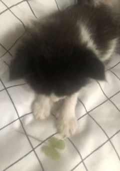 𝑳‌𝑶‌𝑽‌𝑬