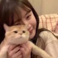 PAL#低浮上さんのアイコン画像