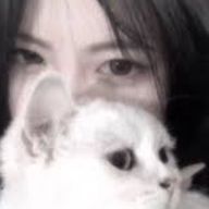 PAL#低浮上さんのアイコン画像