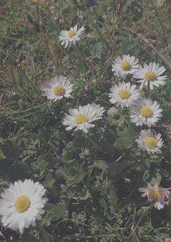 恋の駆け引き