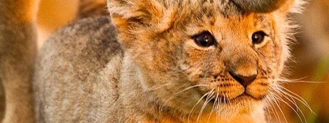 Yunaさんの壁紙画像