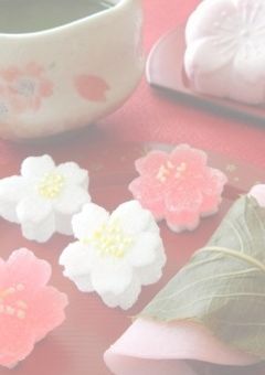 京都弁女子が韓国にお店を出した件。