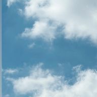 Sayarinさんのアイコン画像