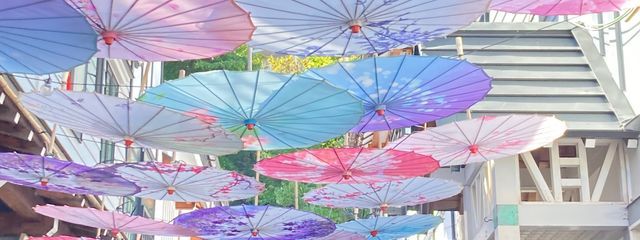 桐葉さんの壁紙画像