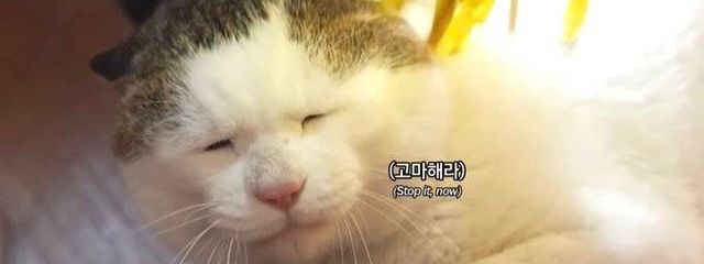 bbaさんの壁紙画像