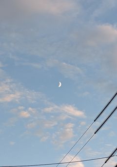 いれいすファミマプリント