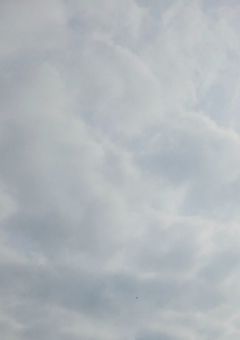 イラスト載せます