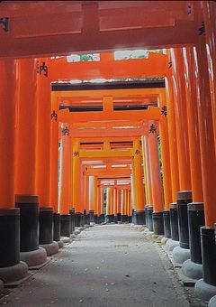 かくれんぼ [🌈🕒]