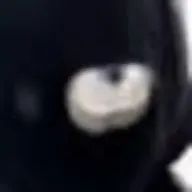 煮卵さんのアイコン画像