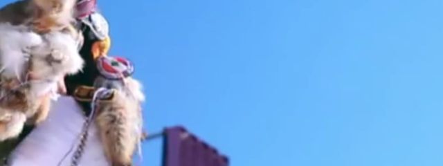 KANAさんの壁紙画像