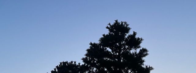 ( ᐛ🍝)ﾊﾟｧｽﾀさんの壁紙画像