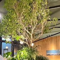 ( ᐛ🍝)ﾊﾟｧｽﾀさんのアイコン画像