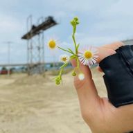 マカロン08さんのアイコン画像