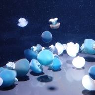 まーろん@超不定期さんのアイコン画像