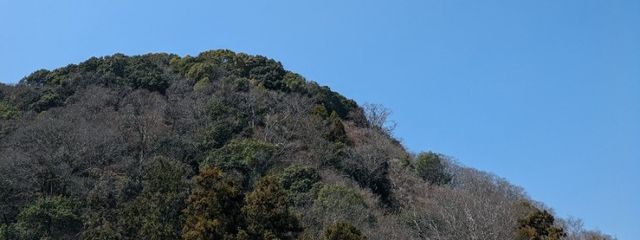 鯖主さんの壁紙画像