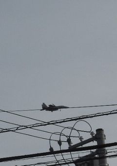 蒼空の守護者たち