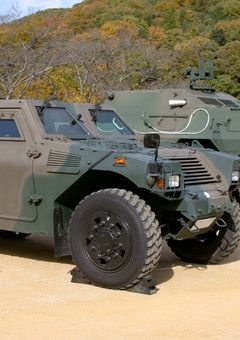 迷彩の森、二つの影