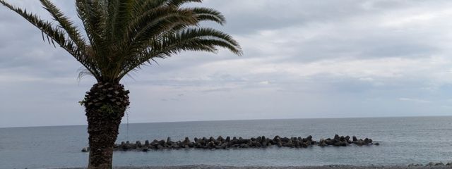 りーさんの壁紙画像