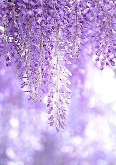 10人目の柱は鬼殺隊最年長で…？