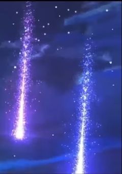 私 の 弟 、 活 動 者 で す ＿＿