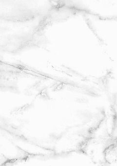 無口な君の堕とし方